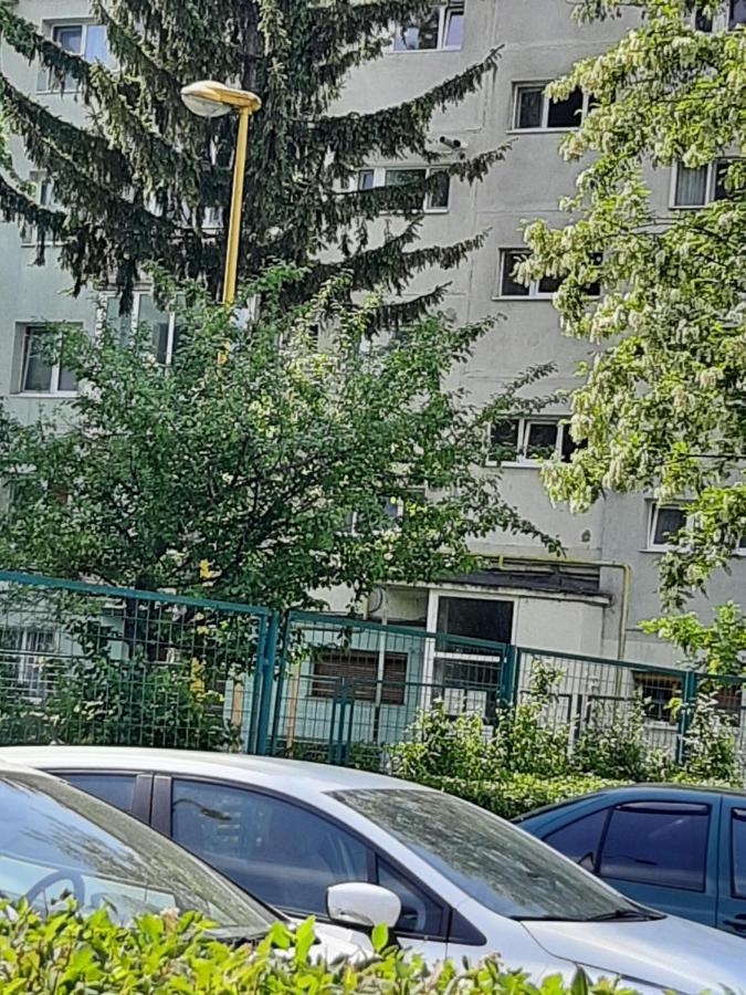 Home Uranus Braşov Extérieur photo